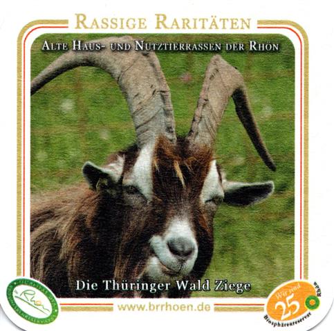 kaltennordheim wak-th rhoenbier rassige 5b (quad180-die thringer wald ziege)